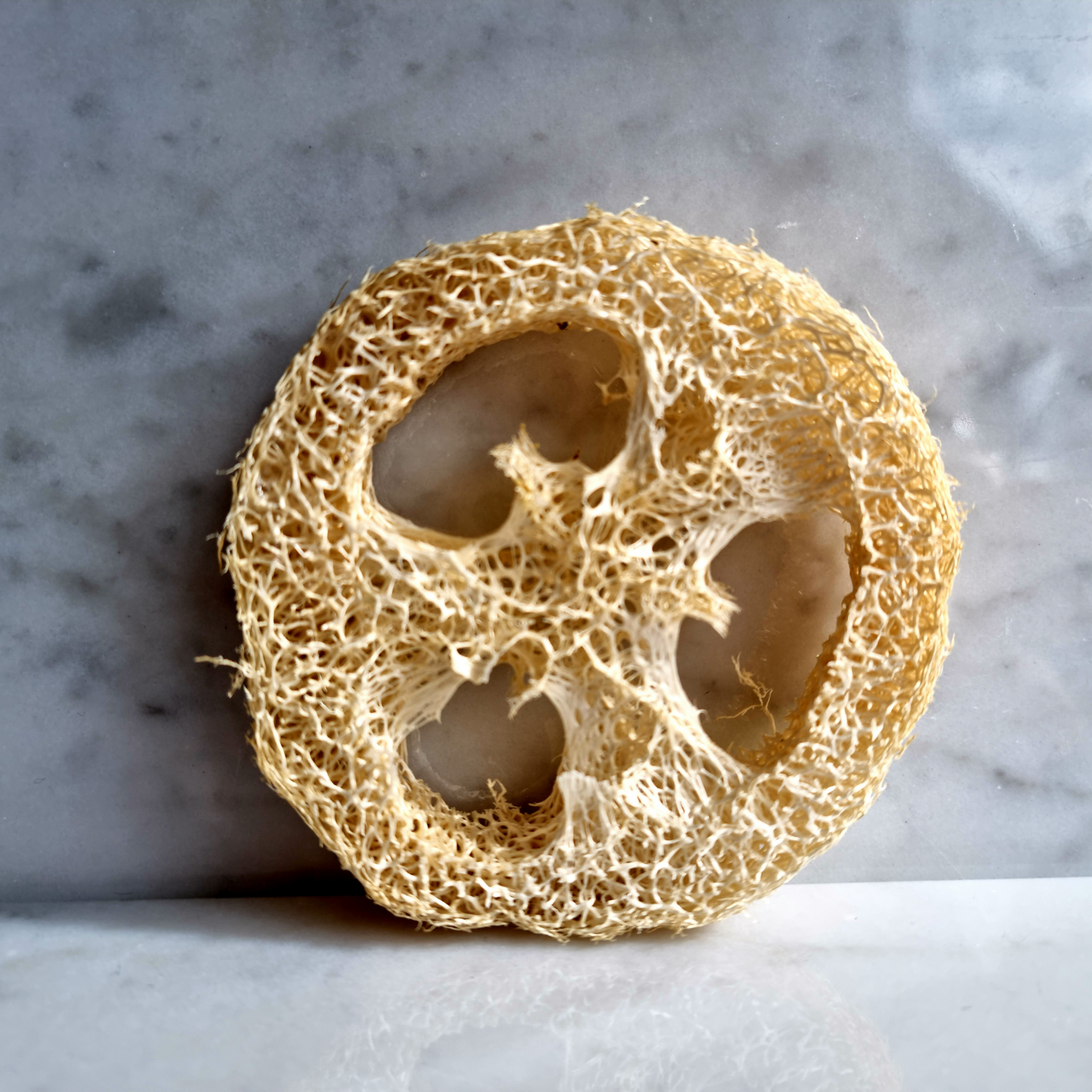 Loofah Soap Holder (Biodegradable) - Sophie's Soaps